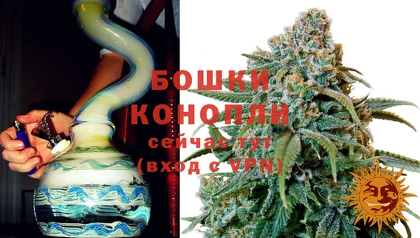 мяу мяу мука Елабуга