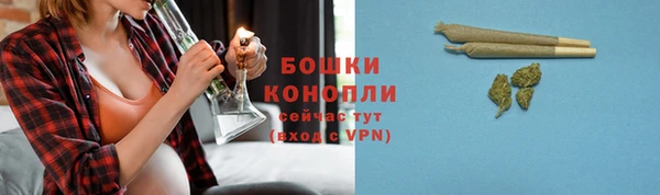 мяу мяу мука Елабуга